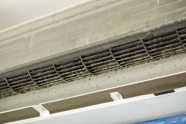 Best Air Duct Cleaning Near Me  in West Burlington, IA